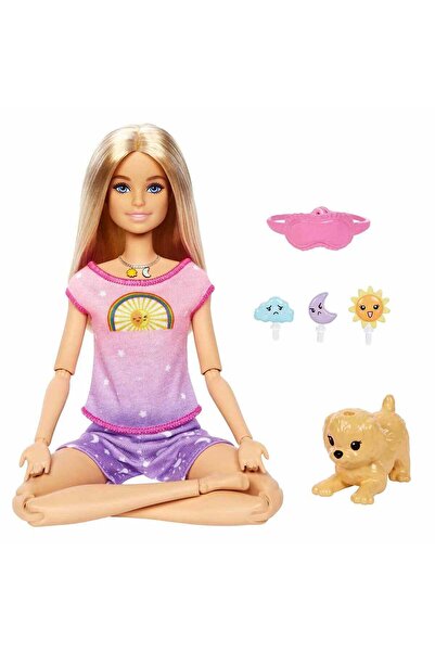 Barbie Meditasyon Yapıyor Oyun Seti Hhx64