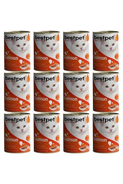 Bestpet Somon Balıklı Yetişkin Kedi Konservesi 400gr - 12 Adet