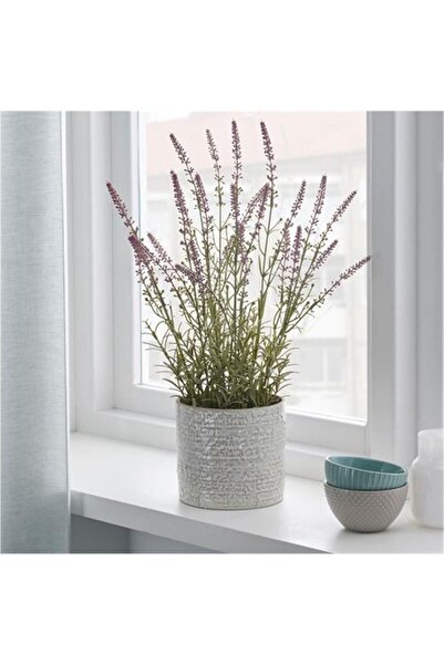 IKEA Yapay Bitki, Lavanta Çiçeği, 12 Cm, Fejka