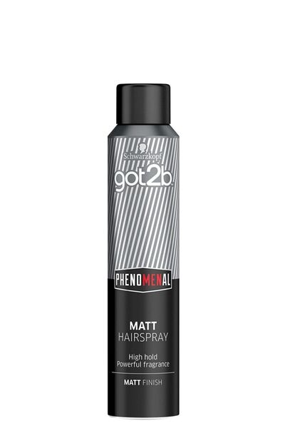 Got2B Schwarzkopf Gentleman