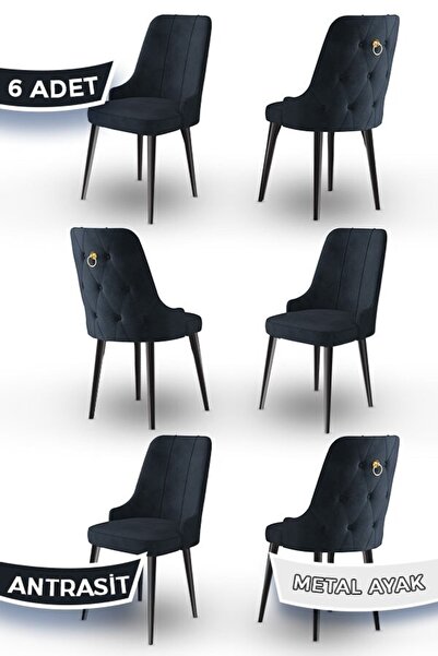 Canisa Newa Serisi,1.sınıf Babyface Kumaş Siyah Metal Ayak Gold Halkalı, 6 Ad...