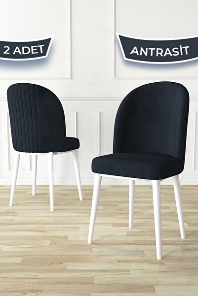 Canisa Aste Serisi 2 Adet Antrasit Mutfak Sandalyesi Metal Beyaz Iskeletli 1....