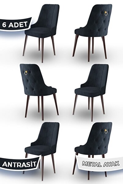 Canisa Newa Serisi, 1.sınıf Babyface Kumaş Kahve Metal Ayaklı Gold Halkalı, 6...