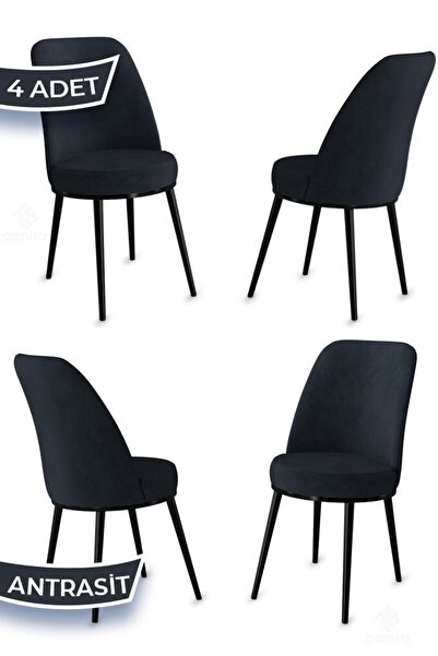 Canisa Jaxe Serisi 4 Adet Siyah Yemek Odası Sandalyesi Metal Siyah Iskeletli ...
