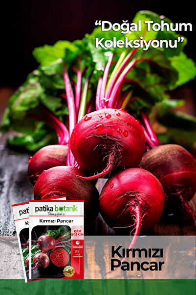 Patika Botanik 75 Adet Ata Tohumu Yerli Kırmızı Pancar