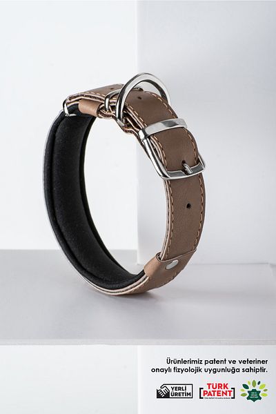 pasiole Dog Collar, Dog Collar, Large and Medium Breed Dog Collar - Collo