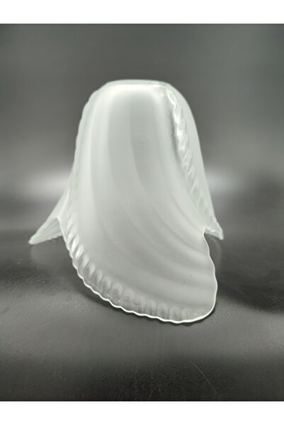 KUĞULU Avize Camı. 3. Kanatlı,( Şeffaf - Mat Renkte)normal Ampule Göre(E.27)