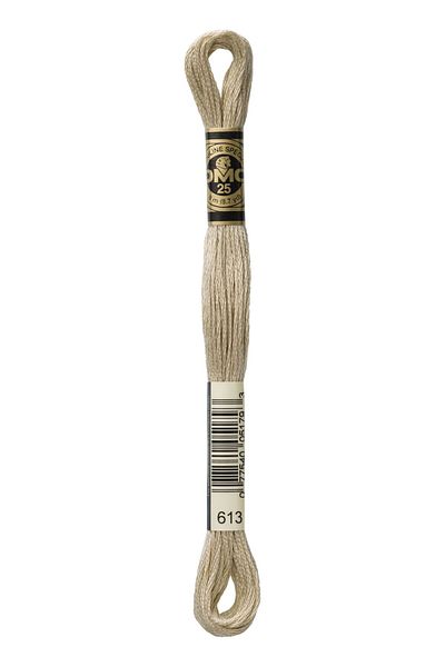 Dmc Muline Hand Embroidery Threads-613