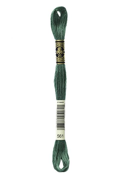 Dmc Muline Hand Embroidery Threads-561