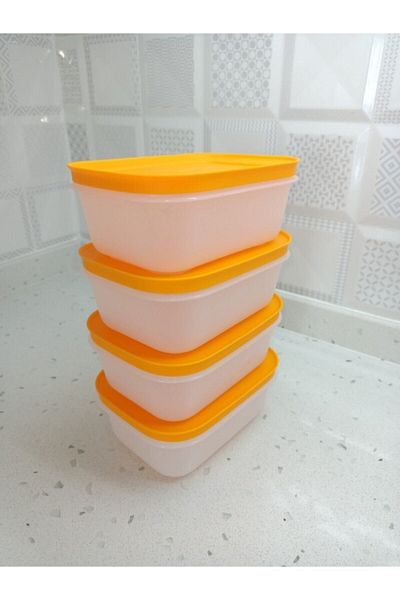 Tupperware Alaska 4-Piece Storage Container