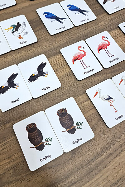 metafortoys 24 Parça Kuşlar Eşleştirme Zeka Oyun Kartları