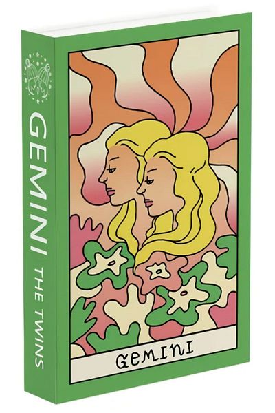 herseystore Gemini Twins 516 Model Box