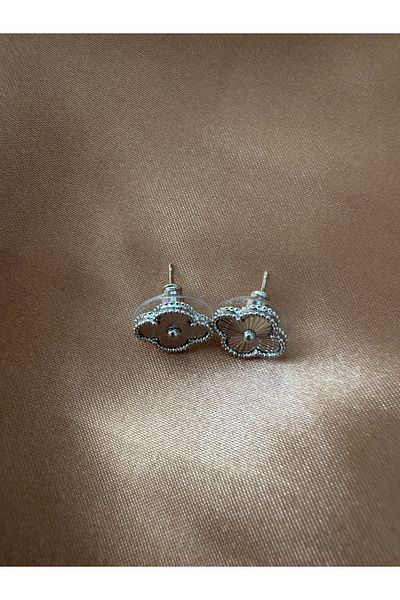 Vaveyla Vip Model Top Segment - Steel Earrings