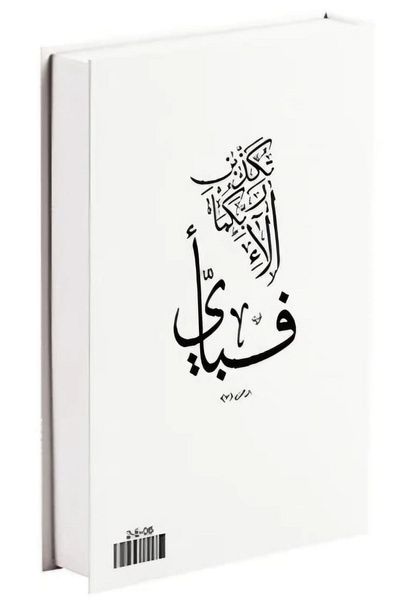 biseystore Sheikh Zaid Mosque - 609 Model