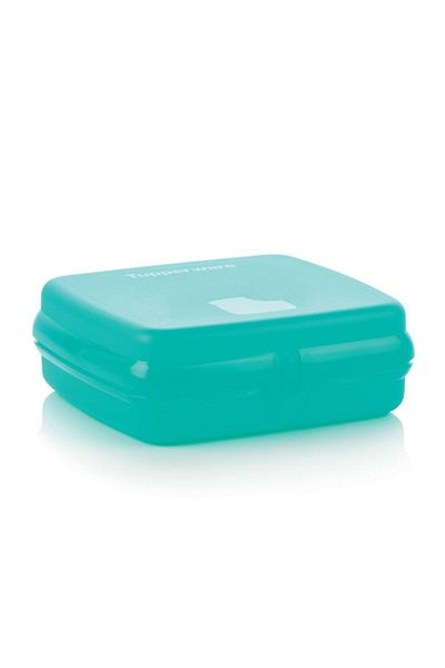 Tupperware Sandwich Carrying Container / Eco + Sandwich Keeper