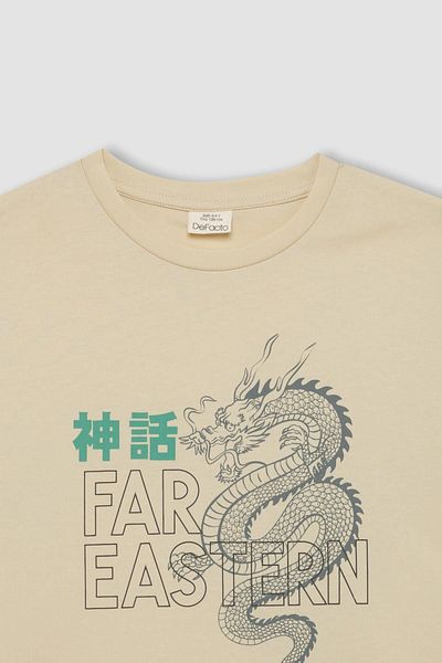 DeFacto Boy's Short Sleeve Printed T-Shirt - Crew Neck C0954A824SM