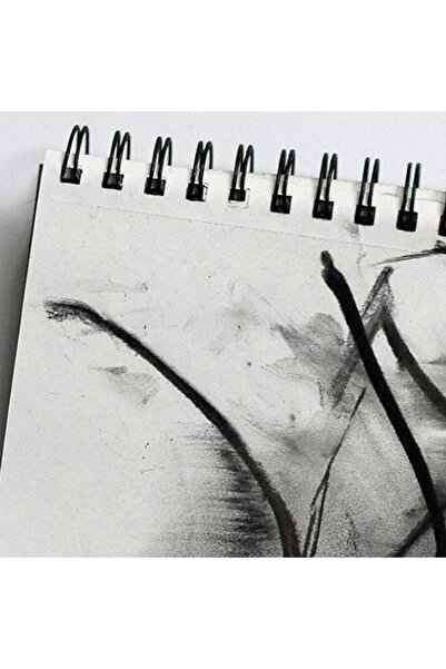 Canson 1557 Eskiz Çizim Defteri (25x35) 120gr 15 Sayfa