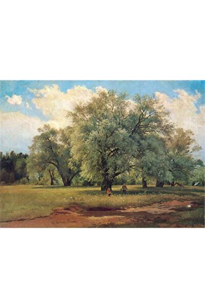 Tablosan Pictură pe pânză Pădure 30x40 Cm Kb20056 30x40 Cm