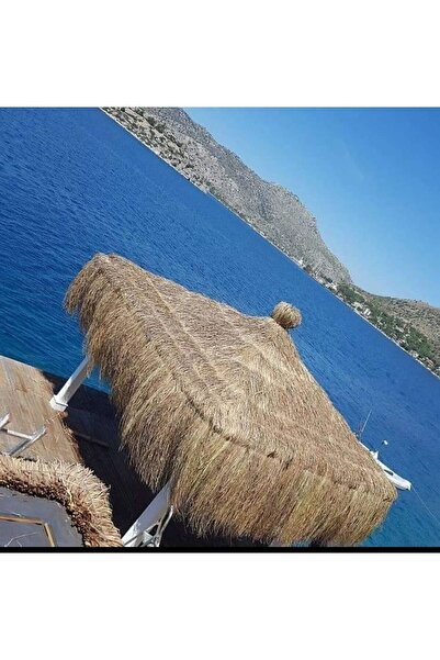 Hasır Dünyam Hasır Püskül Otu Saçaklı Ot Dekoratifi Ve Çin Otu 2 Metre X 1 Metre