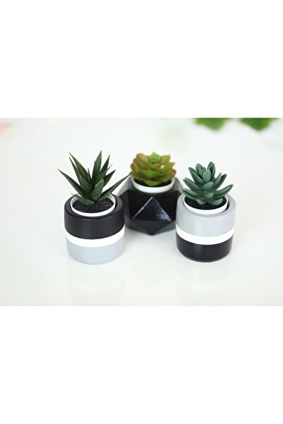 Genel Markalar 3'lü Sukulent Ve Kaktüs Saksı Seti