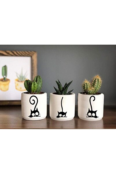 Genel Markalar Kedi Desenli Saksı (ÇİÇEKSİZ)- Küçük Boy Sukulent Saksısı Çizi...