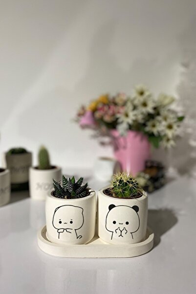 Dekozayn Home Tabaklı Komik Çizim Desenli Mini Saksı Seti