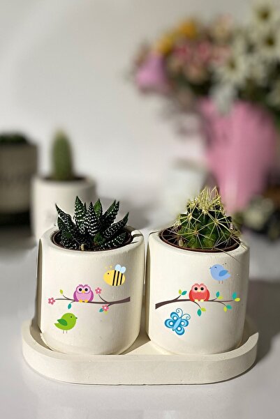 Dekozayn Home Tabaklı Kuş Baskılı Mini Saksı Seti Hediyelik Dekoratif