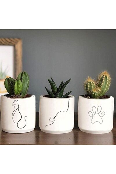 Dekozayn Home Minimalist Kedi Desenli Saksı Üçlü Set- Küçük Boy Sukulent Saks...