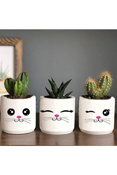 Genel Markalar Kedi Yüzü Desenli Saksı Üçlü Set- Küçük Boy Sukulent Saksısı Ç...