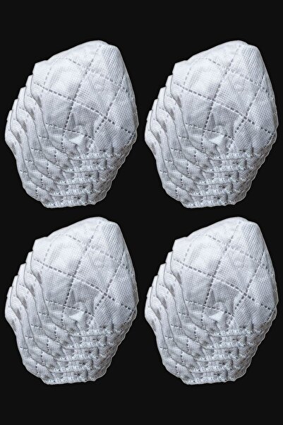 Chisty كيس غبار متوافق مع المكنسة الكهربائية Fantom DU 2500، 20 قطعة