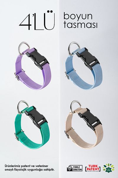 pasiole Adjustable Dog Collar Set of 4 - Sturdy Collar
