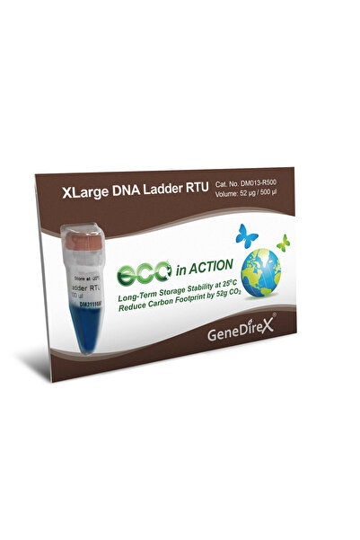 Xlarge Dna Ladder Rtu (Ready-To-Use)