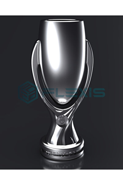FLEXIS WE MAKE IT POSSIBLE FOR YOU UEFA SÜPER KUPA MAKETİ FIFA  BİREBİR MODEL HEDİYELİK FUTBOL 15 CM
