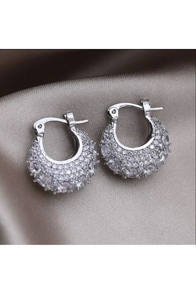 Accessories Vip Special Series - Steel Hoop Earrings