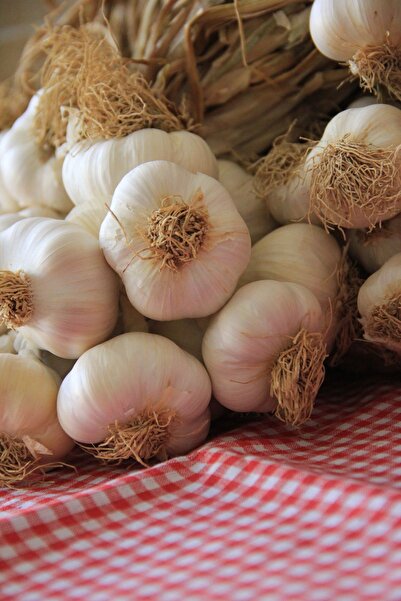 Genel Markalar Heyydays Taşköprü Sarımsağı 1 Kg 2024 Yeni Sezon