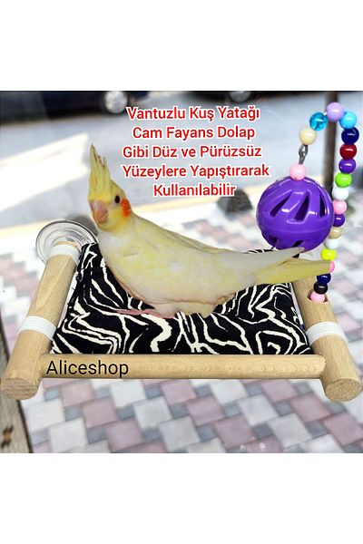 aliceshop Glass Play Track - With Suction Cups and Bed