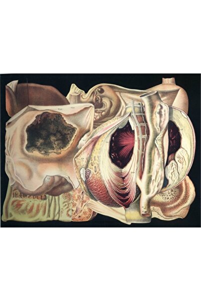 Tablosan Pictură abstractă personaj pe pânză 20x30 Cm Kb29046 20x30 Cm