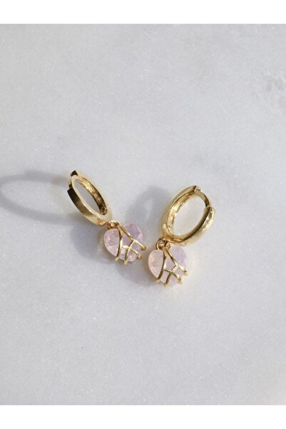 Reorah Collection Kristal Şato 925 Gümüş Minimal Küpe-altın Kaplama