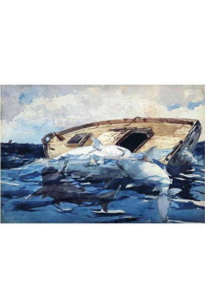 Tablosan Pictură pe pânză cu acuarelă Rechini 20x30 Cm Kb27221 20x30 Cm