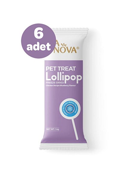 RANOVA Ra Nova Yaban Mersini Aromalı Dondurularak Kurutulmuş Kedi Ödülü Lolip...