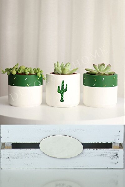 Genel Markalar Kaktüs Baskılı Minimal Sukulent Ya Da Kaktüs Saksı Seti Hediye...