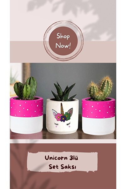 Genel Markalar Unicorn Desenli Saksı Üçlü Set- Küçük Boy Sukulent Saksısı Çiz...