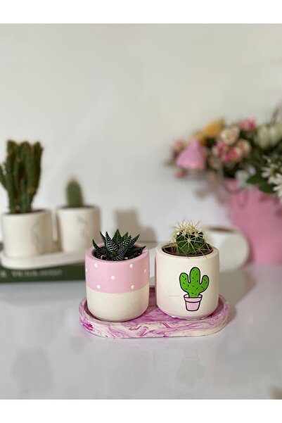 Dekozayn Home Tabaklı Pembe Tatlı Kaktüs Desenli El Çizimi Saksı Seti Hediyel...