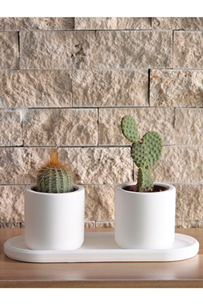 Genel Markalar Mini Silindir Sukulent Saksı Oval Tabaklı Set Dekoratif Hediye...