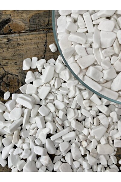 Elysian Beyaz Dolomit Taş 1,5 Kg 1-3 Cm Akvaryum Taşı Süs Taşları Dere Taşı B...
