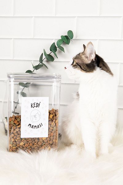 DNS HOME Cat Food Storage Container Mica 3000 ml Vacuum Organizer Storage Box with Lid