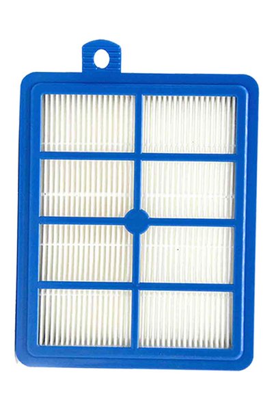 optream Filtru Hepa compatibil cu aspiratorul Philips FC 8766 PowerPro