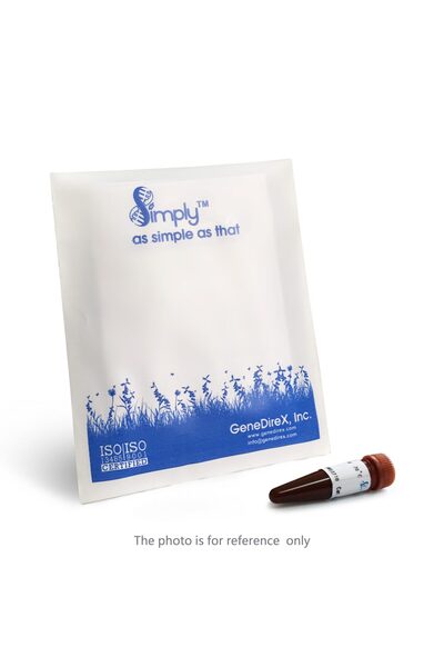 Simplygreen Qpcr Master Mix, Rox