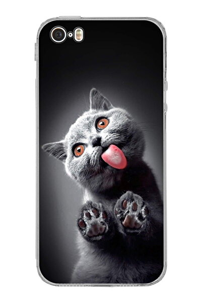 PrintiFy iPhone 5S ile Uyumlu Kedi 2 Kamera Korumalı Şeffaf Kılıf