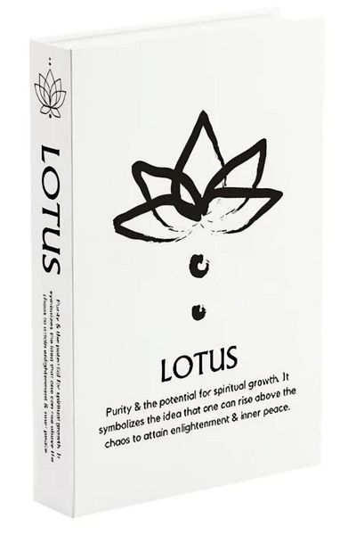 biseystore Lotus 604 Model Number Shoes